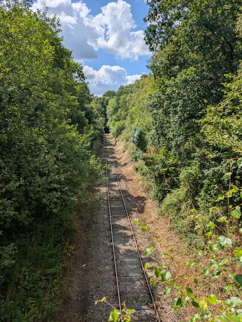 Heart of Wales line with tunnel in the distance
